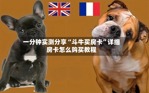一分钟实测分享“斗牛买房卡”详细房卡怎么购买教程-第2张图片