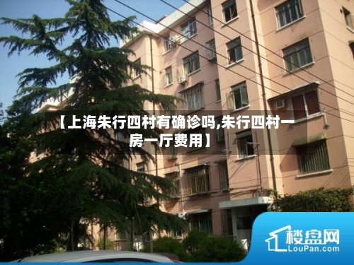 【上海朱行四村有确诊吗,朱行四村一房一厅费用】-第2张图片