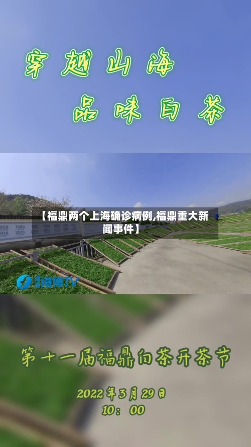 【福鼎两个上海确诊病例,福鼎重大新闻事件】