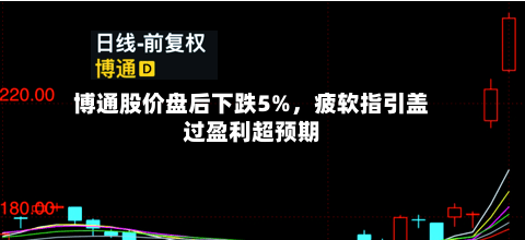 博通股价盘后下跌5%	，疲软指引盖过盈利超预期-第2张图片
