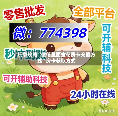 玩家攻略“微信里面金花房卡充值方式	”房卡获取方式-第3张图片