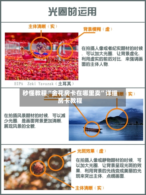 秒懂教程“金花房卡在哪里卖”详细房卡教程-第2张图片