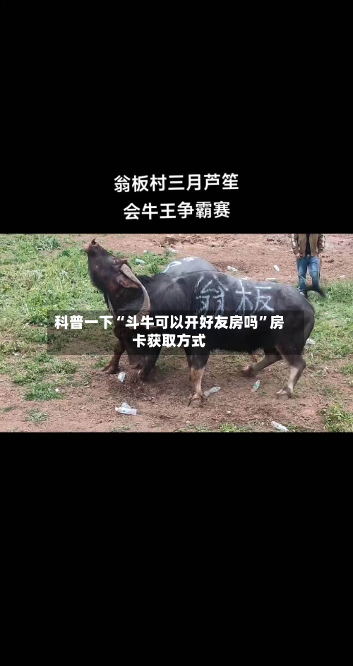 科普一下“斗牛可以开好友房吗”房卡获取方式-第3张图片