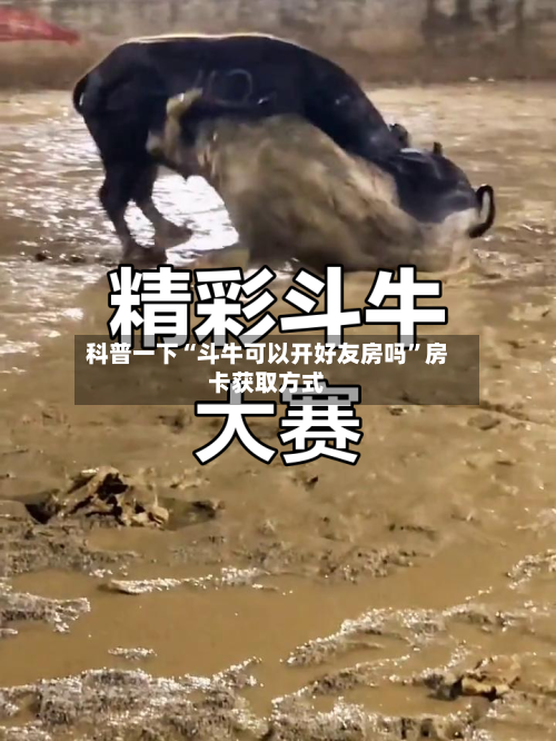 科普一下“斗牛可以开好友房吗”房卡获取方式-第2张图片