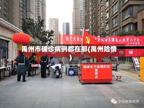 禹州市确诊病例都在那(禹州险情)