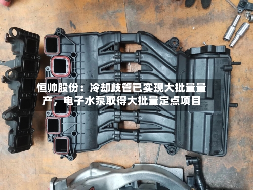 恒帅股份：冷却歧管已实现大批量量产，电子水泵取得大批量定点项目-第3张图片