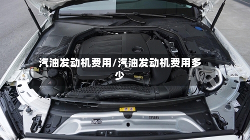 汽油发动机费用/汽油发动机费用多少
