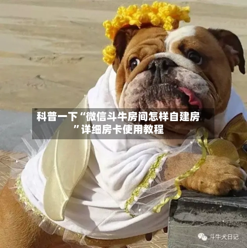 科普一下“微信斗牛房间怎样自建房”详细房卡使用教程-第2张图片