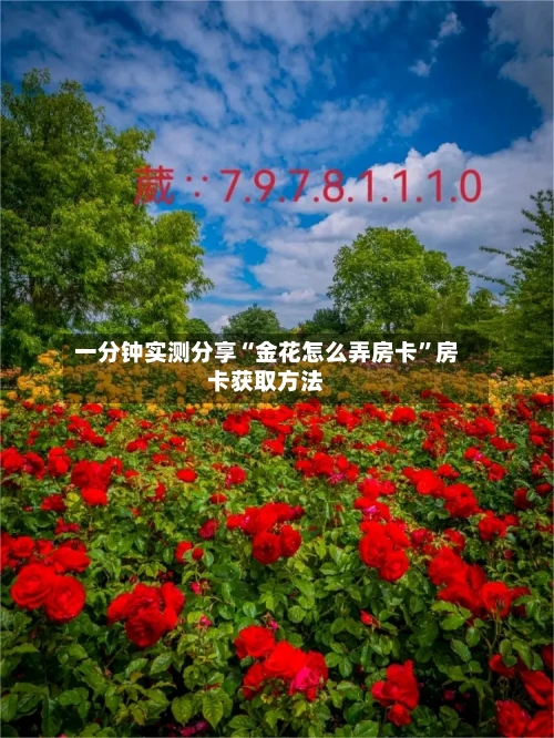 一分钟实测分享“金花怎么弄房卡”房卡获取方法-第2张图片