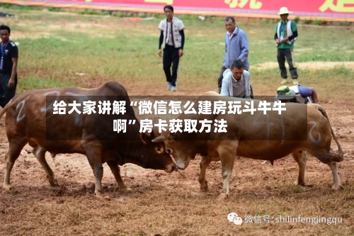 给大家讲解“微信怎么建房玩斗牛牛啊”房卡获取方法