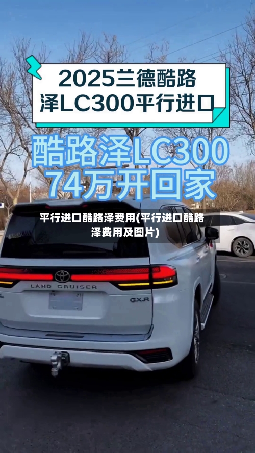 平行进口酷路泽费用(平行进口酷路泽费用及图片)-第2张图片