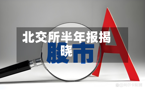 北交所半年报揭晓