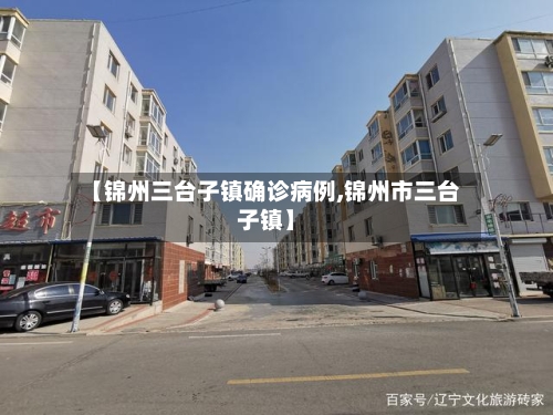 【锦州三台子镇确诊病例,锦州市三台子镇】-第2张图片