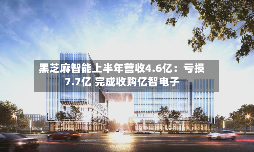黑芝麻智能上半年营收4.6亿：亏损7.7亿 完成收购亿智电子-第2张图片