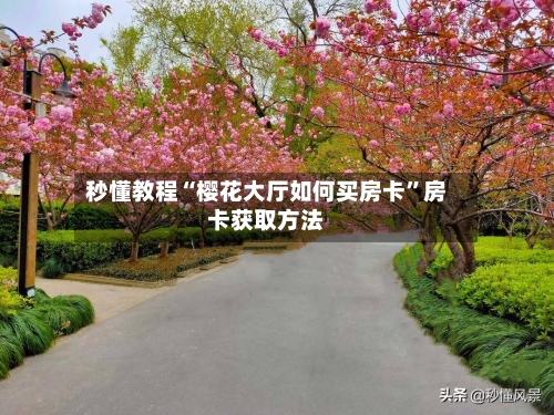 秒懂教程“樱花大厅如何买房卡	”房卡获取方法-第2张图片