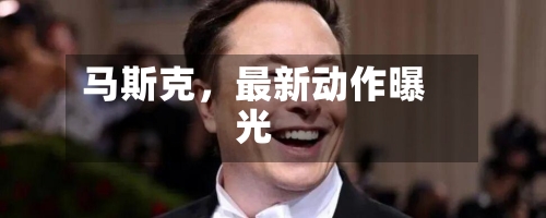 马斯克，最新动作曝光