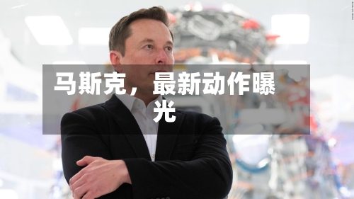 马斯克，最新动作曝光-第2张图片