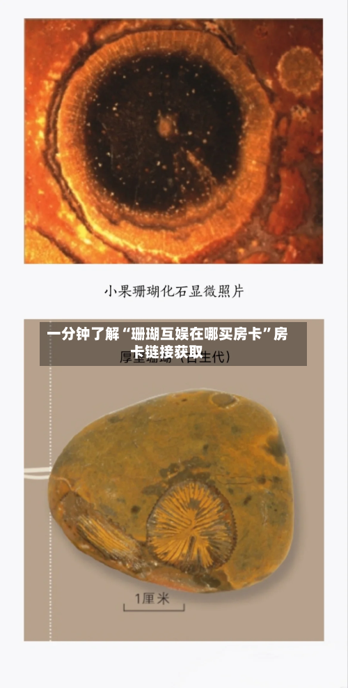 一分钟了解“珊瑚互娱在哪买房卡”房卡链接获取-第2张图片