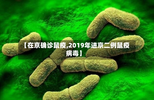 【在京确诊鼠疫,2019年进京二例鼠疫病毒】-第2张图片