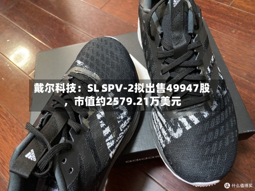 戴尔科技：SL SPV-2拟出售49947股，市值约2579.21万美元-第3张图片