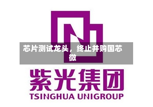 芯片测试龙头，终止并购国芯微-第3张图片