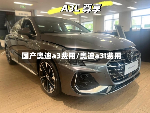 国产奥迪a3费用/奥迪a3l费用-第2张图片