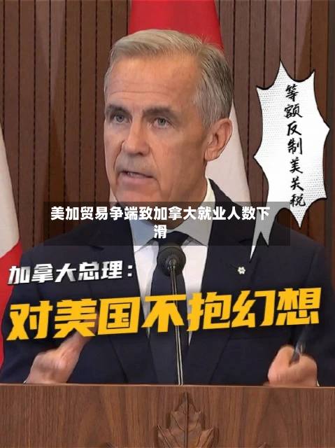 美加贸易争端致加拿大就业人数下滑-第2张图片