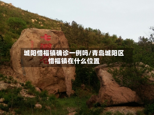 城阳惜福镇确诊一例吗/青岛城阳区惜福镇在什么位置-第3张图片