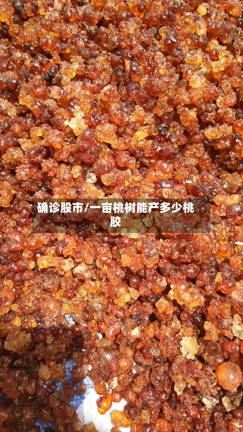 确诊股市/一亩桃树能产多少桃胶-第2张图片