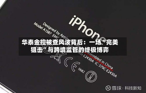 华泰金控被查风波背后：一场“完美狙击	”与跨境监管的终极博弈-第2张图片