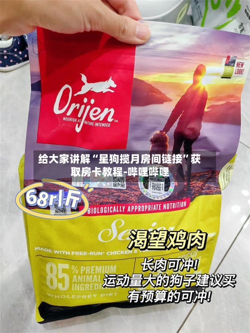 给大家讲解“星狗揽月房间链接”获取房卡教程-哔哩哔哩