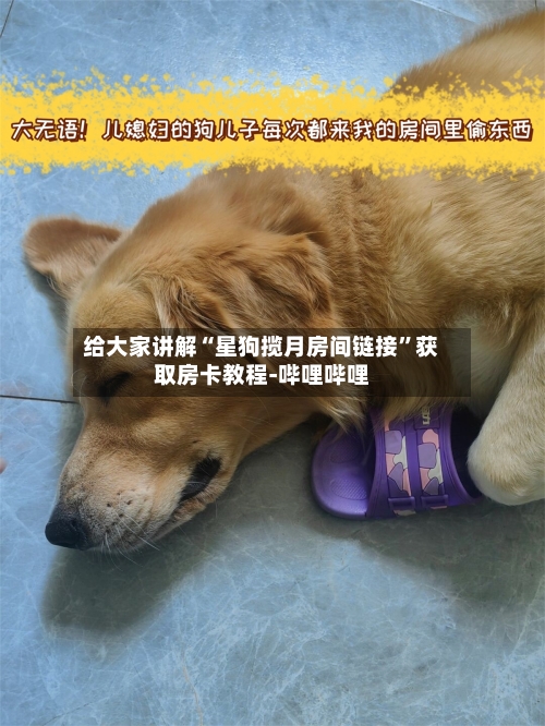 给大家讲解“星狗揽月房间链接”获取房卡教程-哔哩哔哩-第2张图片
