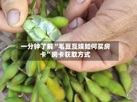 一分钟了解“毛豆互娱如何买房卡”房卡获取方式