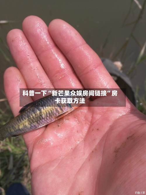 科普一下“新芒果众娱房间链接”房卡获取方法-第3张图片