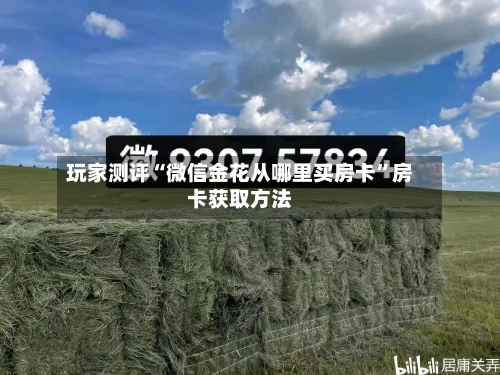 玩家测评“微信金花从哪里买房卡	”房卡获取方法-第2张图片