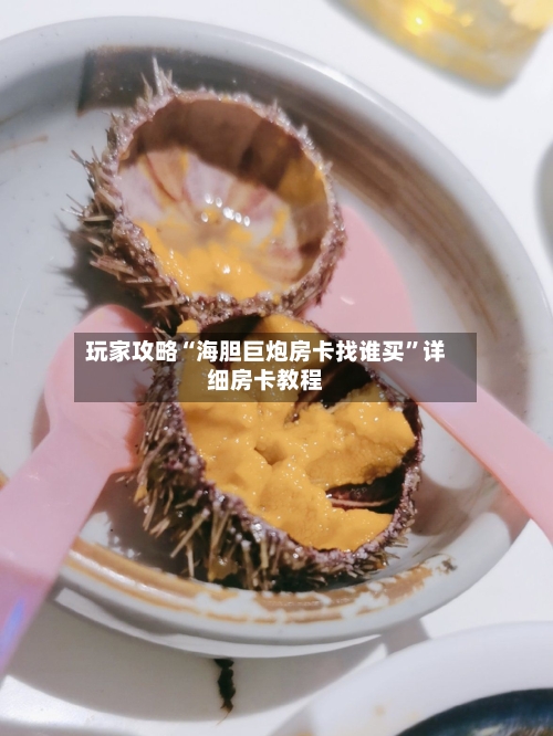 玩家攻略“海胆巨炮房卡找谁买	”详细房卡教程-第2张图片