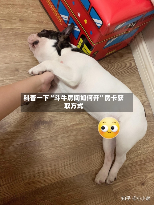 科普一下“斗牛房间如何开	”房卡获取方式-第2张图片