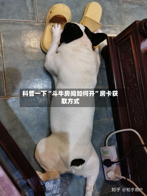 科普一下“斗牛房间如何开”房卡获取方式-第3张图片