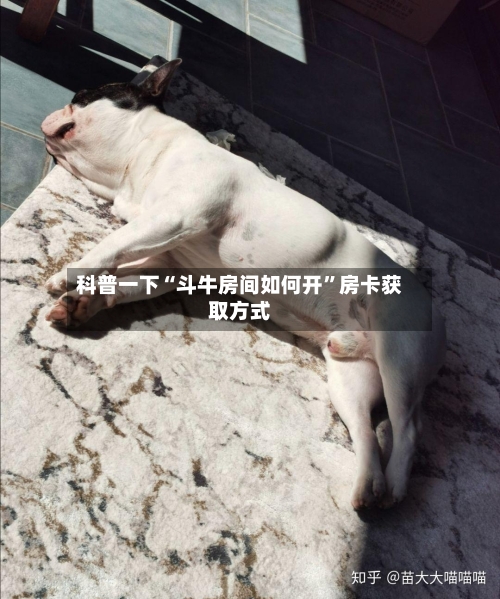 科普一下“斗牛房间如何开”房卡获取方式