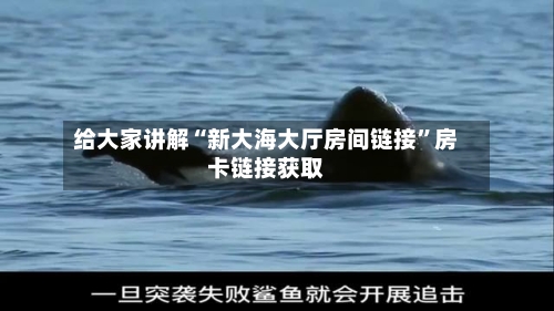给大家讲解“新大海大厅房间链接”房卡链接获取-第2张图片