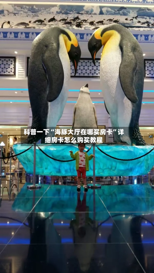 科普一下“海豚大厅在哪买房卡”详细房卡怎么购买教程