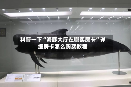 科普一下“海豚大厅在哪买房卡	”详细房卡怎么购买教程-第3张图片