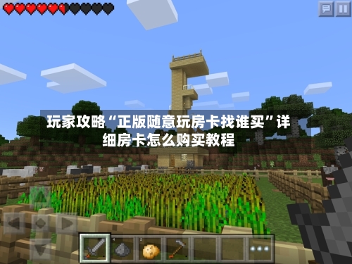 玩家攻略“正版随意玩房卡找谁买	”详细房卡怎么购买教程-第3张图片