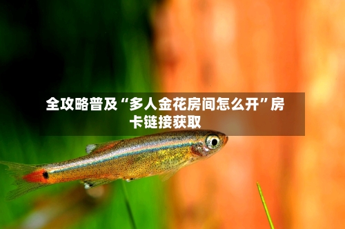 全攻略普及“多人金花房间怎么开”房卡链接获取-第3张图片