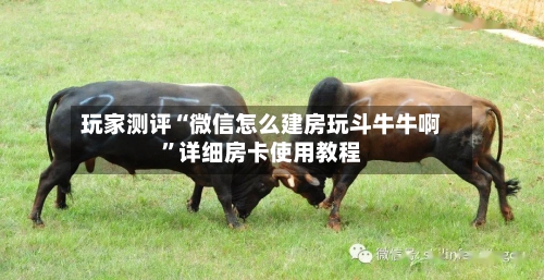 玩家测评“微信怎么建房玩斗牛牛啊”详细房卡使用教程-第3张图片
