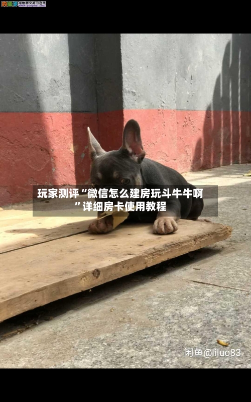 玩家测评“微信怎么建房玩斗牛牛啊	”详细房卡使用教程-第2张图片