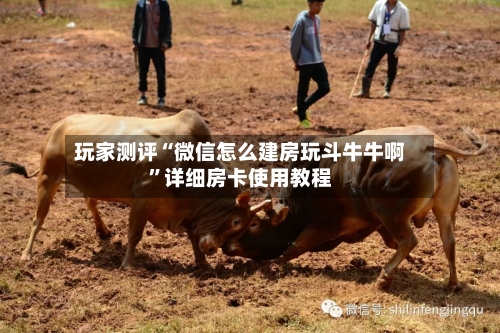 玩家测评“微信怎么建房玩斗牛牛啊”详细房卡使用教程