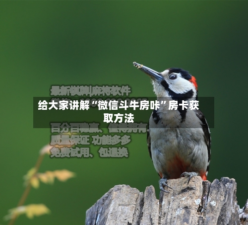 给大家讲解“微信斗牛房咔”房卡获取方法