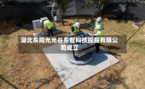 湖北东阳光光谷东智科技控股有限公司成立