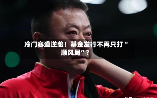 冷门赛道逆袭！基金发行不再只打“顺风局	”？-第2张图片